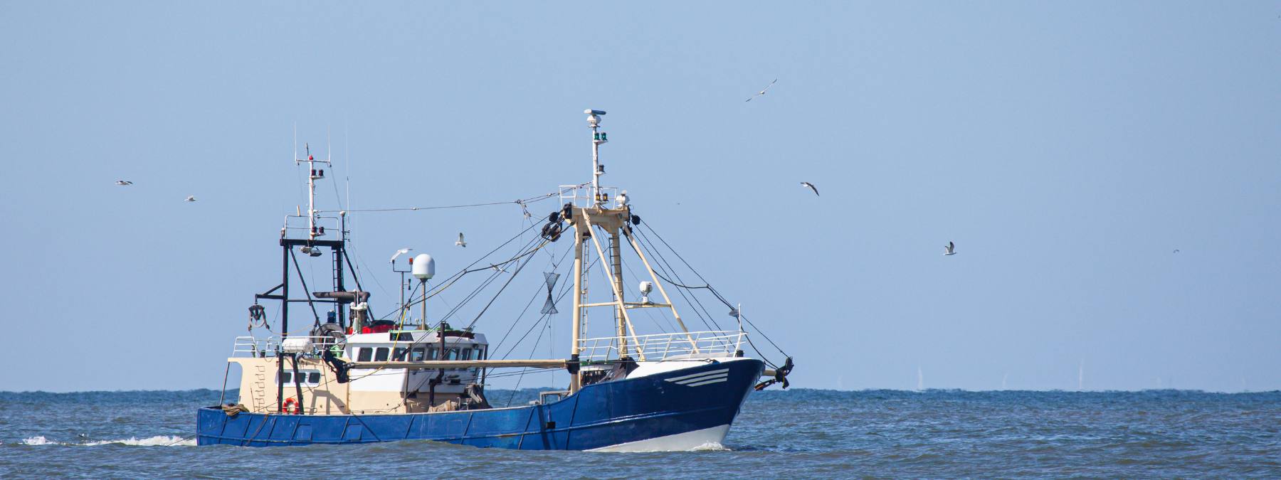 trawler reel it back